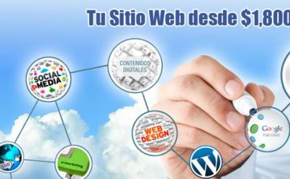 Diseño Web Puerto Vallarta