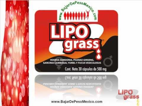 Vï¿½deos de 