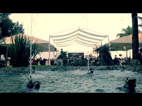 Vï¿½deos de 