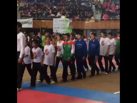 Vï¿½deos de 