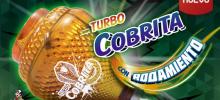 empresa de publicidad en cuernavaca