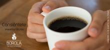 Café de de especialidad mexicano para restaurantes, cafeterías, y a domicilio
