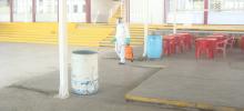 Control de plagas en escuelas