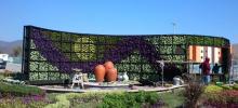 Diseño y colocación de Jardines Verticales