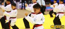 Escuelas de taekwondo para niños y jóvenes