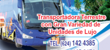 airport transportation in cabo