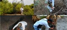 &quot;Estudios Ambientales&quot;, &quot;Fauna Silvestre&quot;, &quot;Flora Silvestre&quot;