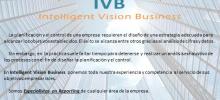 Consultoria reporting empresas asesoría Monterrey Intelligent Vision Business