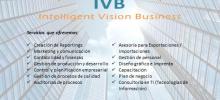 Consultoria reporting empresas asesoría Monterrey Intelligent Vision Business