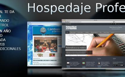 Hospedaje Profesional, hosting profesional