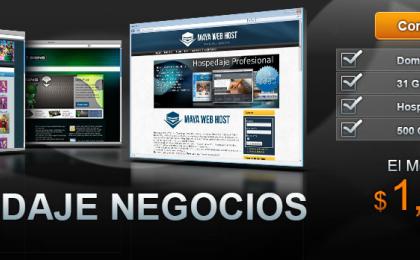 Hospedaje Negocios, hosting Negocios