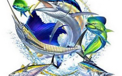 Cabo fishing