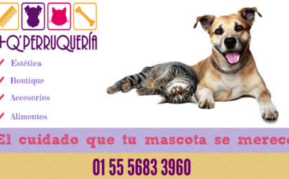 Servicios para mascotas DF