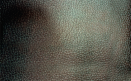 Tela Bonded Leather
