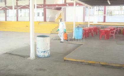 Control de plagas en escuelas