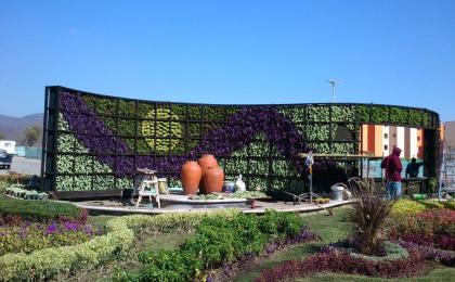 Diseño y colocación de Jardines Verticales