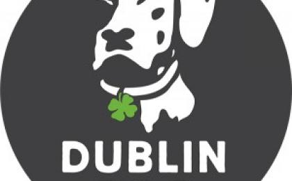 Dublin Dog