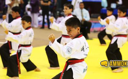 Escuelas de taekwondo para niños y jóvenes
