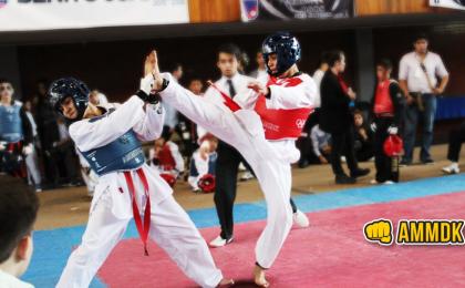 Copa de Taekwondo