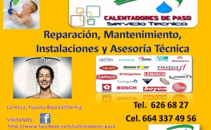 diseño de logos en Morelos