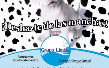 Lavado de salas, lavado de alfombras, limpieza a domicilio