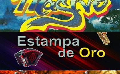 grupo musical en toluca