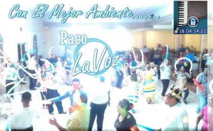 tecladista cantante