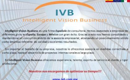 Consultoria reporting empresas asesoría Monterrey Intelligent Vision Business