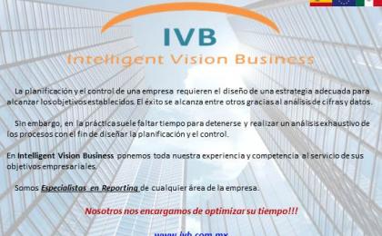Consultoria reporting empresas asesoría Monterrey Intelligent Vision Business