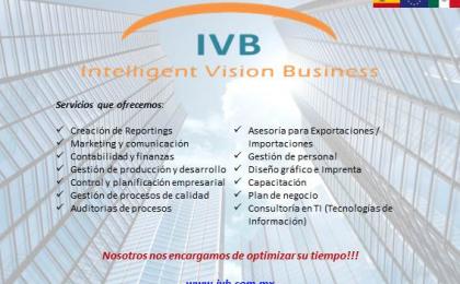 Consultoria reporting empresas asesoría Monterrey Intelligent Vision Business