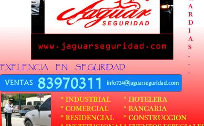 seguridad privada monterrey
