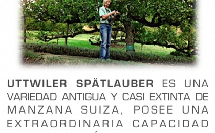 manzana suiza suero activecell en Monterrey