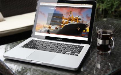 Diseño de sitios web en Manzanillo